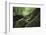 On the way in the Teutoburg Forest-Nadja Jacke-Framed Photographic Print