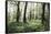 On the way in the Teutoburg Forest-Nadja Jacke-Framed Stretched Canvas