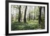 On the way in the Teutoburg Forest-Nadja Jacke-Framed Photographic Print