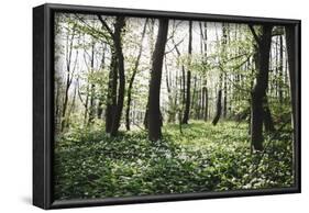 On the way in the Teutoburg Forest-Nadja Jacke-Framed Photographic Print