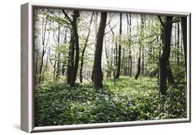 On the way in the Teutoburg Forest-Nadja Jacke-Framed Photographic Print