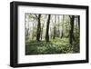 On the way in the Teutoburg Forest-Nadja Jacke-Framed Photographic Print