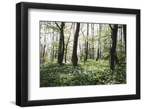 On the way in the Teutoburg Forest-Nadja Jacke-Framed Photographic Print