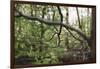 On the way in the Teutoburg Forest-Nadja Jacke-Framed Photographic Print