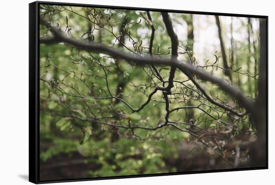 On the way in the Teutoburg Forest-Nadja Jacke-Framed Stretched Canvas