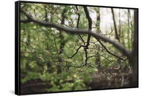 On the way in the Teutoburg Forest-Nadja Jacke-Framed Stretched Canvas