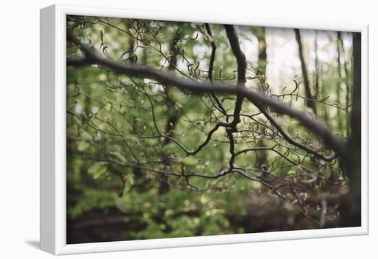 On the way in the Teutoburg Forest-Nadja Jacke-Framed Photographic Print