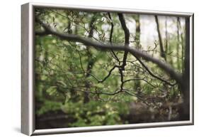 On the way in the Teutoburg Forest-Nadja Jacke-Framed Photographic Print