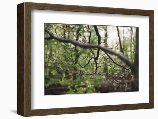 On the way in the Teutoburg Forest-Nadja Jacke-Framed Photographic Print