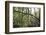 On the way in the Teutoburg Forest-Nadja Jacke-Framed Photographic Print