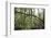 On the way in the Teutoburg Forest-Nadja Jacke-Framed Photographic Print