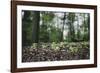 On the way in the Teutoburg Forest-Nadja Jacke-Framed Photographic Print