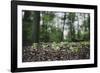 On the way in the Teutoburg Forest-Nadja Jacke-Framed Photographic Print