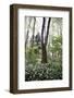 On the way in the Teutoburg Forest-Nadja Jacke-Framed Photographic Print