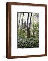 On the way in the Teutoburg Forest-Nadja Jacke-Framed Photographic Print