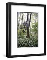 On the way in the Teutoburg Forest-Nadja Jacke-Framed Photographic Print