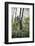 On the way in the Teutoburg Forest-Nadja Jacke-Framed Photographic Print