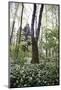 On the way in the Teutoburg Forest-Nadja Jacke-Mounted Photographic Print