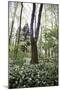 On the way in the Teutoburg Forest-Nadja Jacke-Mounted Photographic Print