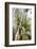 On the way in the Teutoburg Forest-Nadja Jacke-Framed Photographic Print