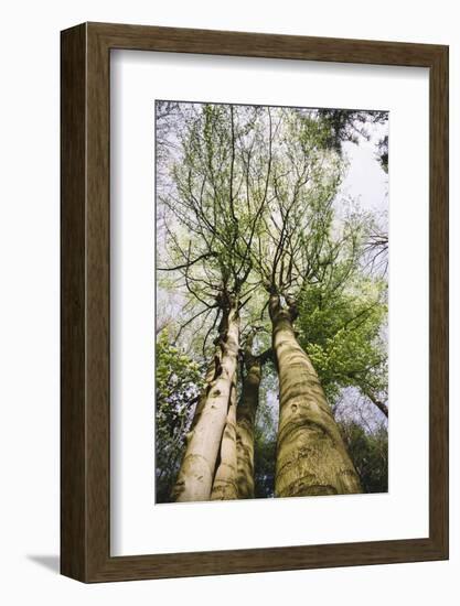 On the way in the Teutoburg Forest-Nadja Jacke-Framed Photographic Print