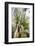 On the way in the Teutoburg Forest-Nadja Jacke-Framed Photographic Print