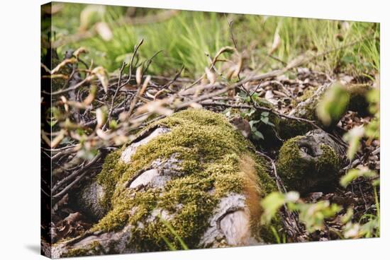 On the way in the Teutoburg Forest-Nadja Jacke-Stretched Canvas