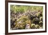 On the way in the Teutoburg Forest-Nadja Jacke-Framed Photographic Print