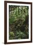 On the way in the Teutoburg Forest-Nadja Jacke-Framed Photographic Print