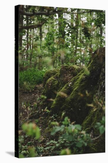 On the way in the Teutoburg Forest-Nadja Jacke-Stretched Canvas