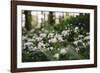 On the way in the Teutoburg Forest-Nadja Jacke-Framed Photographic Print