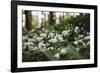 On the way in the Teutoburg Forest-Nadja Jacke-Framed Photographic Print