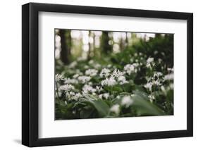 On the way in the Teutoburg Forest-Nadja Jacke-Framed Photographic Print