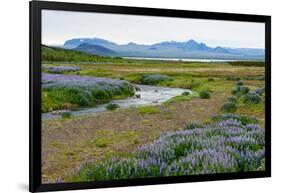 On the Way on the Golden Circle-Catharina Lux-Framed Photographic Print