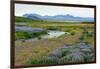 On the Way on the Golden Circle-Catharina Lux-Framed Premium Photographic Print