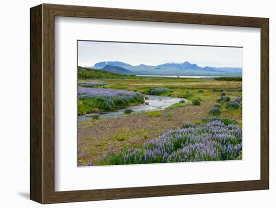 On the Way on the Golden Circle-Catharina Lux-Framed Photographic Print