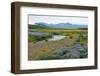 On the Way on the Golden Circle-Catharina Lux-Framed Photographic Print