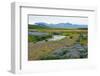 On the Way on the Golden Circle-Catharina Lux-Framed Photographic Print