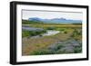 On the Way on the Golden Circle-Catharina Lux-Framed Photographic Print