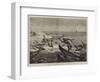 On the Way to India, Somali Boys Diving for Money at Aden-null-Framed Giclee Print