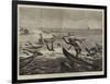 On the Way to India, Somali Boys Diving for Money at Aden-null-Framed Giclee Print