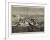 On the Way to India, Somali Boys Diving for Money at Aden-null-Framed Giclee Print