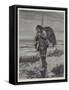 On the Way to the Decoys-Richard Caton Woodville II-Framed Stretched Canvas