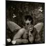 On the Wings of Song-Lydia Marano-Mounted Photographic Print