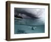 On the wings of the storm-Andrey Narchuk-Framed Photographic Print