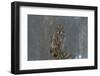 On Watch-Nick Kalathas-Framed Photographic Print