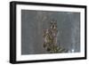 On Watch-Nick Kalathas-Framed Photographic Print