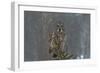 On Watch-Nick Kalathas-Framed Photographic Print