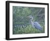 On Watch-Bruce Dumas-Framed Giclee Print