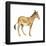 Onager (Equus Onager), Mammals-Encyclopaedia Britannica-Framed Poster